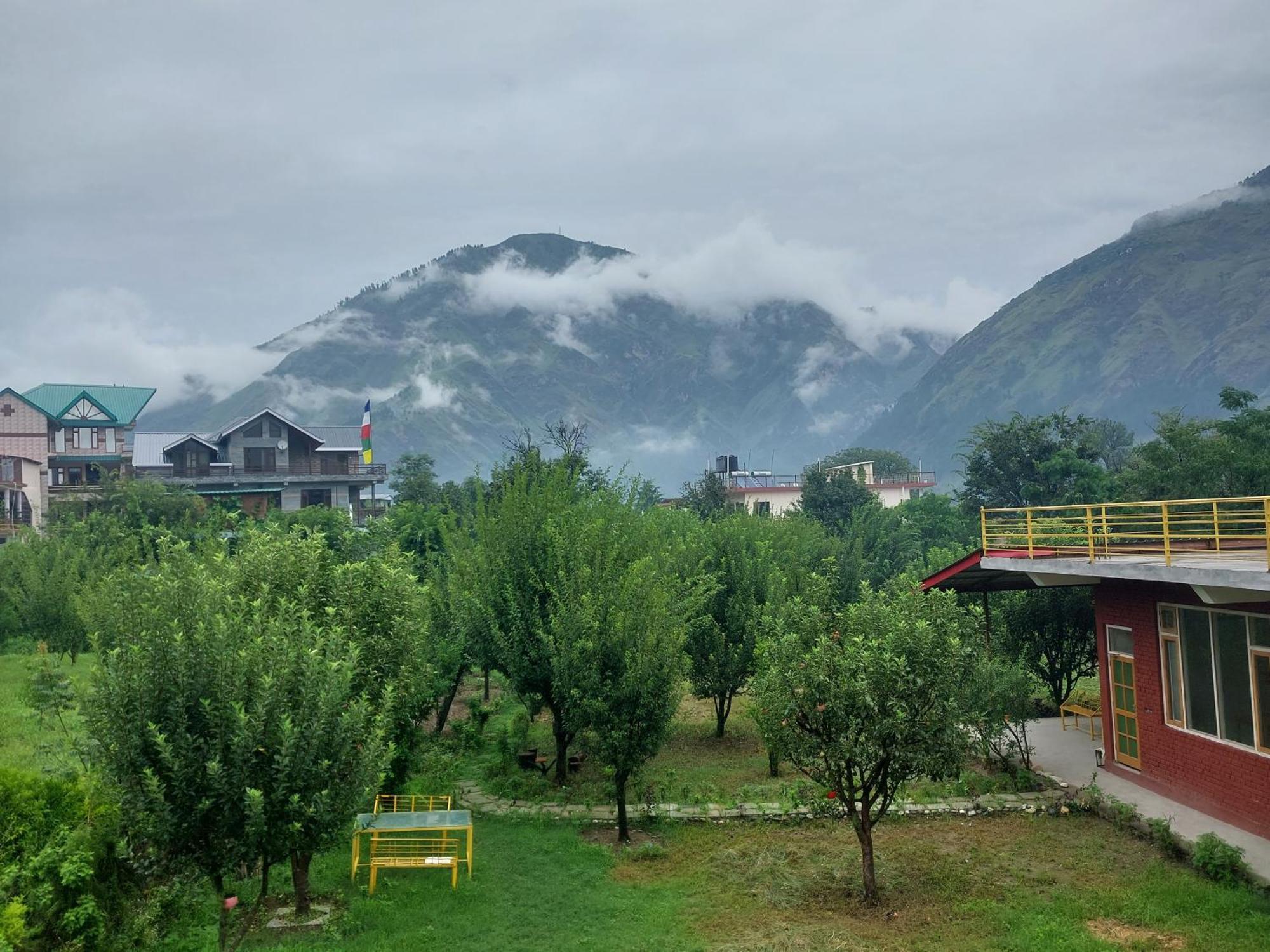 Gazing Moon Homestay Shamshi Exterior foto